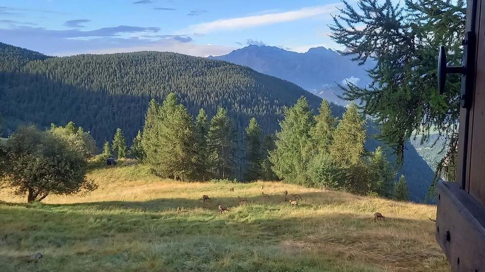 Prairie au petit matin avec vue sur la vallée, silhouette assise au loin.