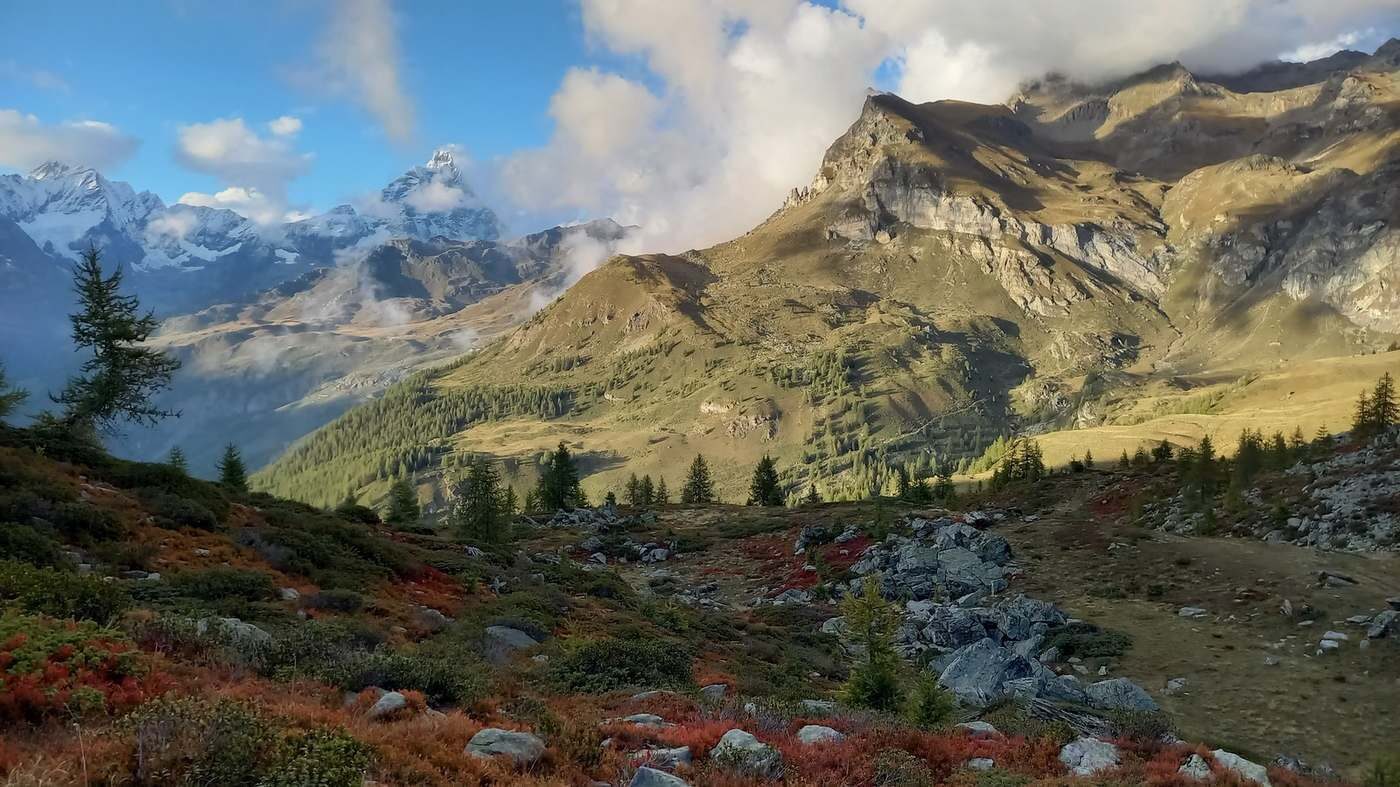 Paysage de montagne à l'automne, sommets enneigés et prairies rousses.