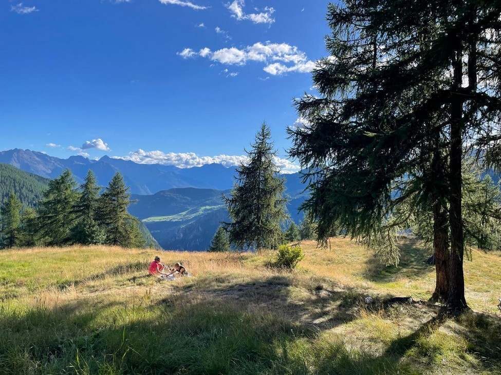Prairie et vue sur les sommets depuis le jardin du chalet.