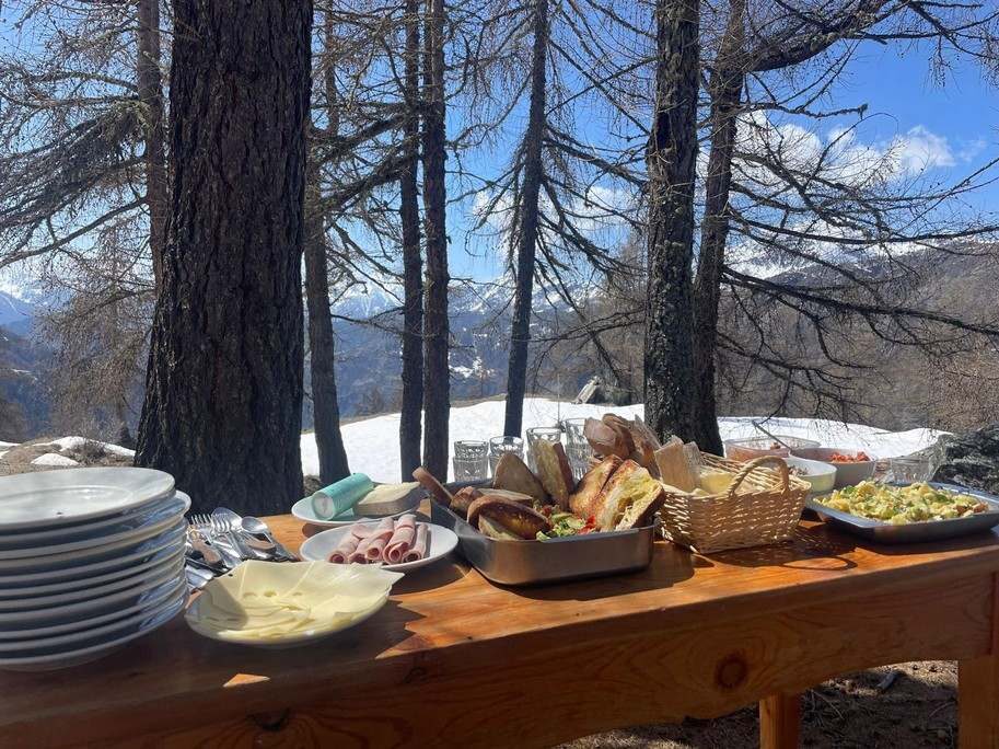 Table de victuailles dressée en forêt : pain, fromages, salades.